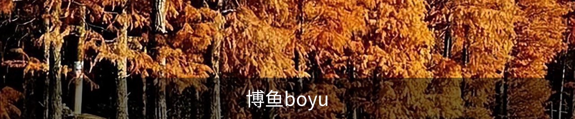 博鱼(boyu·中国)官方网站-BOYUSPORTS